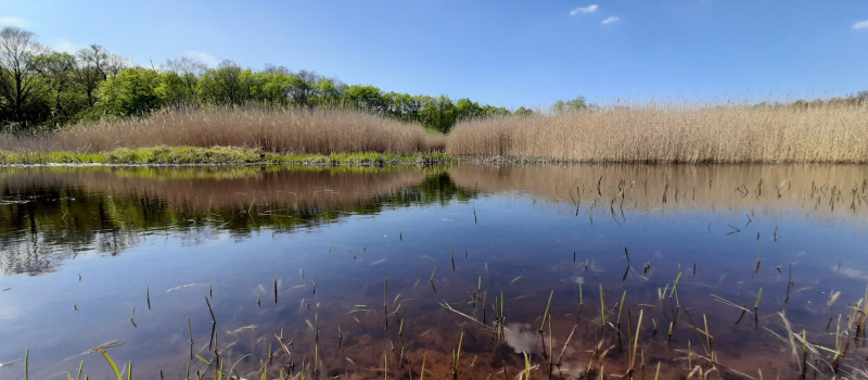 vizes élőhely_Mátra