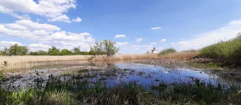 vizes élőhely_Mátra2