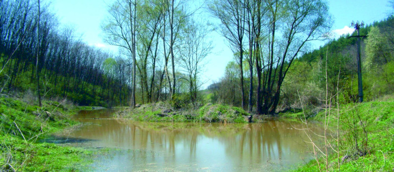 vizeselohely2
