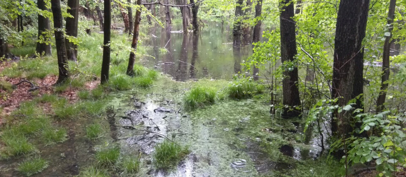 Víz Világnapi programok Felsőtárkányban