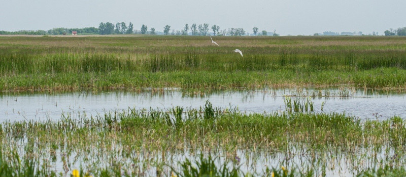 Víz világnapja a Bábakalács Természetiskolában