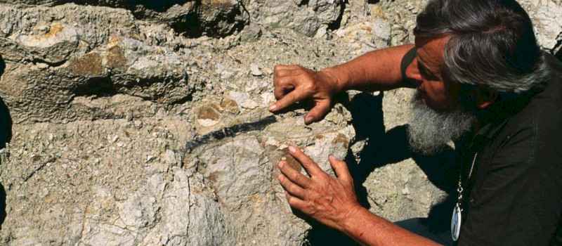 Vulkánnap és Geoparkok Hete az Ősmaradványoknál